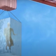 Image for article titled Saturday Night Social: Hear Me Out…………Titanic 2